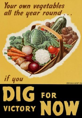 Vintage WW2 British Grow Your Vegetables Own Dig For Victory WWII War Poster Wall Art Print | wall art poster – printed in Yorkshire