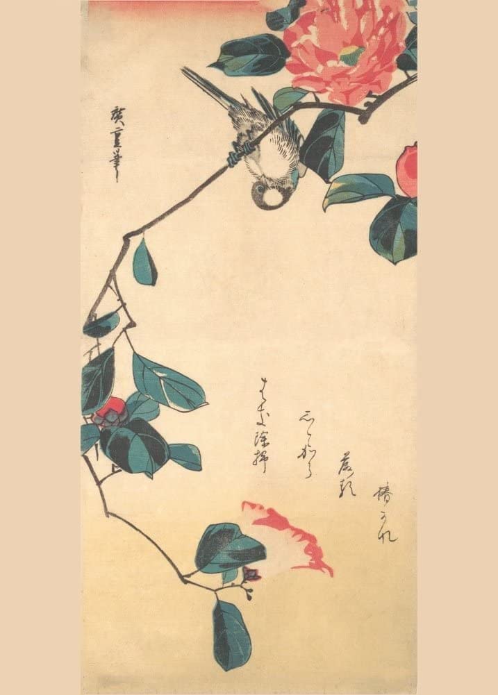 RPW Roystone Print Works Hiroshige 'Camellia and Bullfinch', Japan, 19th Century, Reproduction gloss A4 & A3 Vintage Classic Ukiyo-e Art Poster wall art poster – printed in Yorkshire