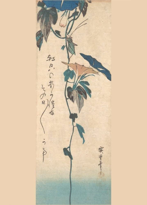 RPW Roystone Print Works Hiroshige 'Grasshopper and Morning-Glory Vine', Japan, 19th Century, Reproduction gloss A4 & A3 Vintage Classic Ukiyo-e Art Poster wall art poster – printed in Yorkshire