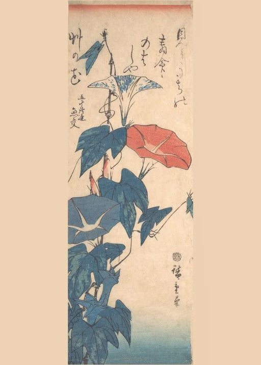 RPW Roystone Print Works Hiroshige 'Morning Glories with Poem by Gyoko', Japan, 19th Century, Reproduction gloss A4 & A3 Vintage Classic Ukiyo-e Art Poster wall art poster – printed in Yorkshire