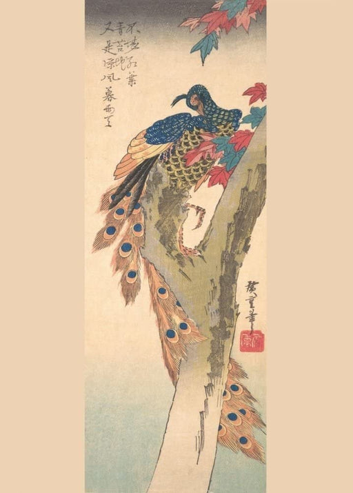 RPW Roystone Print Works Hiroshige 'Peacock Perched on a Maple Tree', Japan, 19th Century, Reproduction gloss A4 & A3 Vintage Classic Ukiyo-e Art Poster wall art poster – printed in Yorkshire