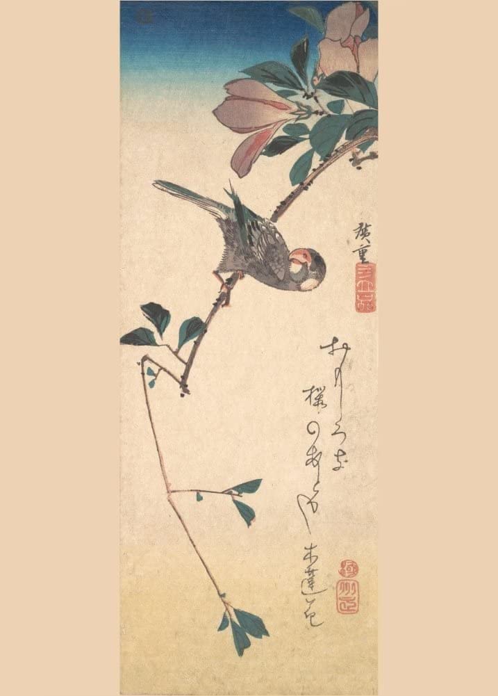RPW Roystone Print Works Hiroshige 'Purple Magnolia and Hornbill', Japan, 19th Century, Reproduction gloss A4 & A3 Vintage Classic Ukiyo-e Art Poster wall art poster – printed in Yorkshire
