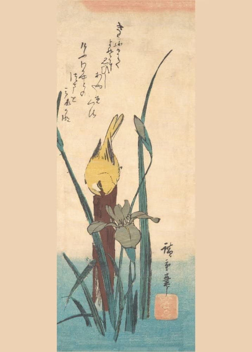 RPW Roystone Print Works Hiroshige 'Bird and Iris', Japan, 19th Century, Reproduction gloss A4 & A3 Vintage Classic Ukiyo-e Art Poster wall art poster – printed in Yorkshire