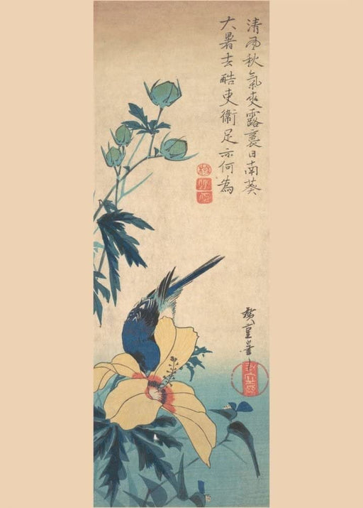 RPW Roystone Print Works Hiroshige 'Hibiscus and Bluebird', Japan, 19th Century, Reproduction gloss A4 & A3 Vintage Classic Ukiyo-e Art Poster wall art poster – printed in Yorkshire