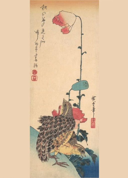 RPW Roystone Print Works Hiroshige 'Quails and Poppies', Japan, 19th Century, Reproduction gloss A4 & A3 Vintage Classic Ukiyo-e Art Poster wall art poster – printed in Yorkshire