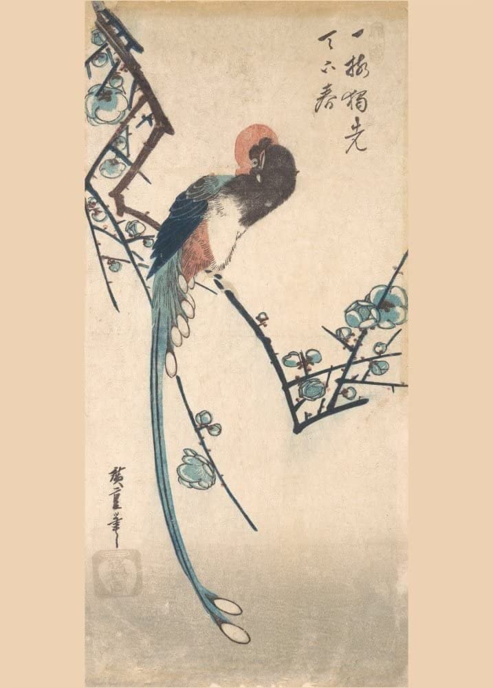 RPW Roystone Print Works Hiroshige 'Long Tailed Bird', Japan, 19th Century, Reproduction gloss A4 & A3 Vintage Classic Ukiyo-e Art Poster wall art poster – printed in Yorkshire