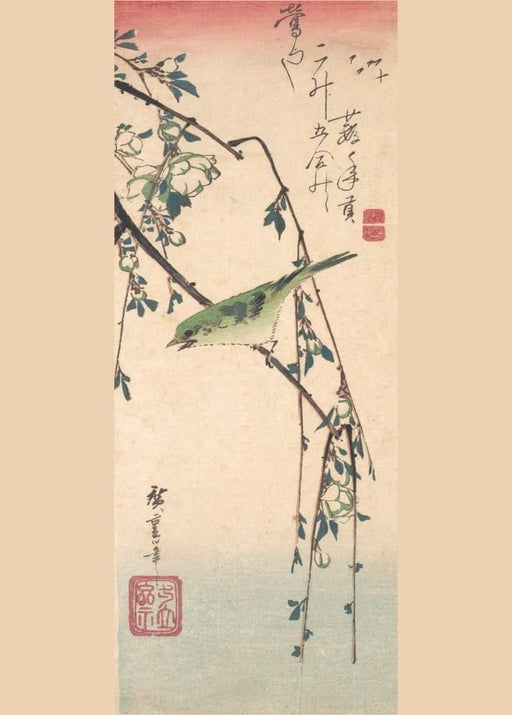 RPW Roystone Print Works Hiroshige 'Warbler on a Plum Branch', Japan, 19th Century, Reproduction gloss A4 & A3 Vintage Classic Ukiyo-e Art Poster wall art poster – printed in Yorkshire