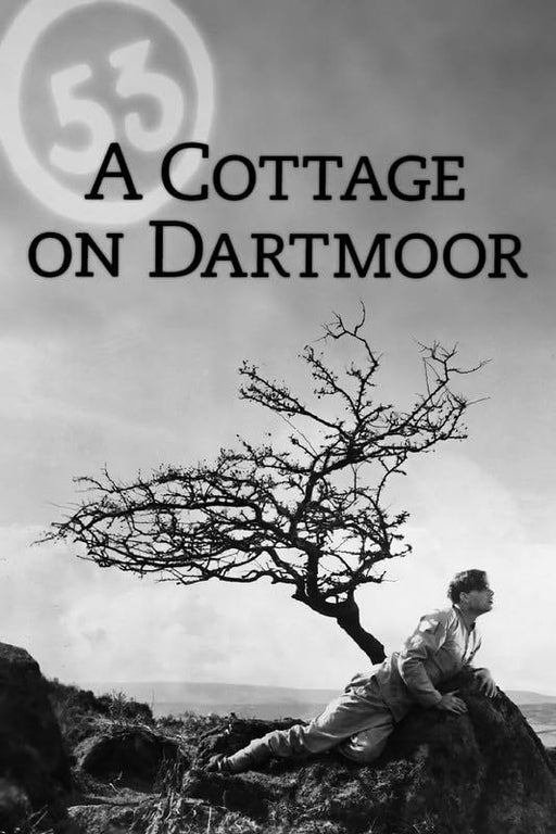 A Cottage on Dartmoor Vintage Movie Film Wall Art Poster Print wall art poster – printed in Yorkshire