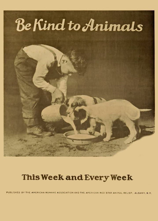 RPW Roystone Print Works Vintage Pets & Veterinary 'Be Kind to Animals', U.S.A, 1932, Reproduction 250gsm A4 & A3 Vintage Poster wall art poster – printed in Yorkshire