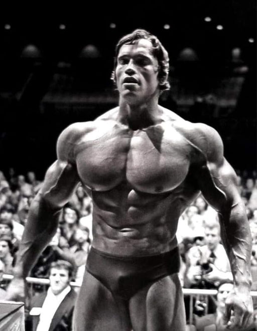 Arnold Schwarzenegger Gym Conquer Poster Wall Art Print wall art poster – printed in Yorkshire