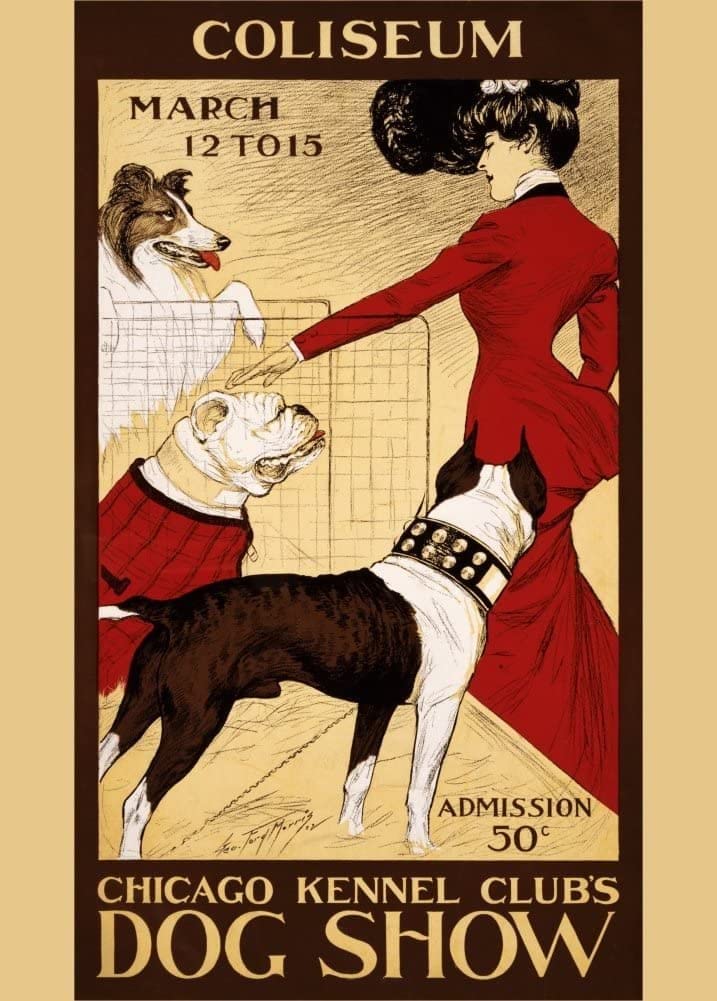 RPW Roystone Print Works Vintage Pets & Veterinary 'Dog Show with The Chicago Kennel Club', U.S.A, 1902, Reproduction 250gsm A4 & A3 Vintage Art Nouveu Poster wall art poster – printed in Yorkshire