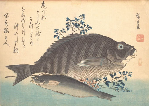 RPW Roystone Print Works Hiroshige 'Shimadai and Ainame Fish', Japan, 19th Century, Reproduction gloss A4 & A3 Vintage Classic Ukiyo-e Art Poster wall art poster – printed in Yorkshire