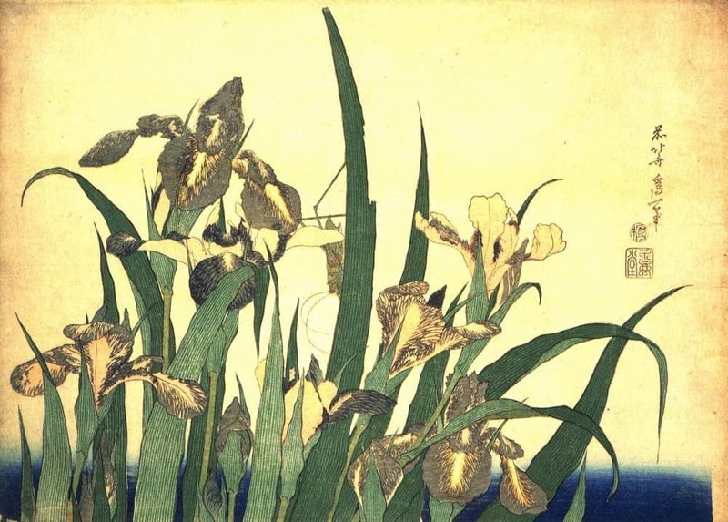 RPW Roystone Print Works Hokusai 'Irises and Grasshopper', Japan, 18-19th Century, Reproduction gloss A4 & A3 Ukiyo-e Classic Art Poster wall art poster – printed in Yorkshire