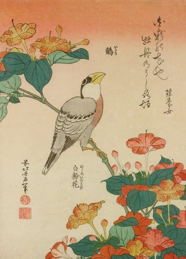 RPW Roystone Print Works Hokusai 'Mirabilis Jalapa and Grosbeak', Japan, 18-19th Century, Reproduction gloss A4 & A3 Ukiyo-e Classic Art Poster wall art poster – printed in Yorkshire