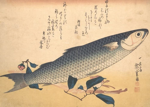RPW Roystone Print Works Hiroshige 'Bora Fish with Camellia, from The Series Uozukushi', Japan, 19th Century, Reproduction gloss A4 & A3 Vintage Classic Ukiyo-e Art Poster wall art poster – printed in Yorkshire