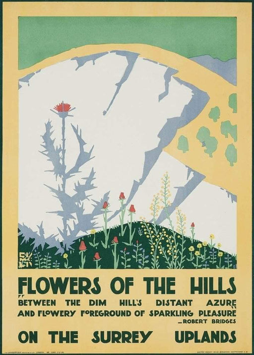 RPW Roystone Print Works Vintage London Underground 'Flowers of The Hills', 1920, Edward McKnight Kauffer, Reproduction Classic Art Deco English Travel Poster wall art poster – printed in Yorkshire
