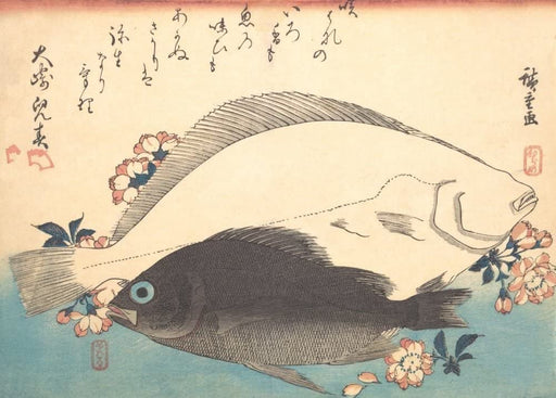 RPW Roystone Print Works Hiroshige 'Hirame and Mebaru Fish with Cherry Blossoms', Japan, 19th Century, Reproduction gloss A4 & A3 Vintage Classic Ukiyo-e Art Poster wall art poster – printed in Yorkshire