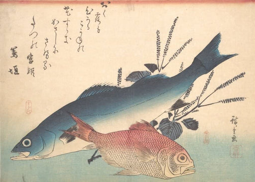 RPW Roystone Print Works Hiroshige 'Suzuki and Kinmedai Fish from The Series Uozukushi', Japan, 19th Century, Reproduction gloss A4 & A3 Vintage Classic Ukiyo-e Art Poster wall art poster – printed in Yorkshire