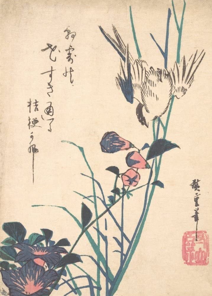 RPW Roystone Print Works Hiroshige 'Large-Flowered Flat Bill and Sparrow', Japan, 19th Century, Reproduction gloss A4 & A3 Vintage Classic Ukiyo-e Art Poster wall art poster – printed in Yorkshire
