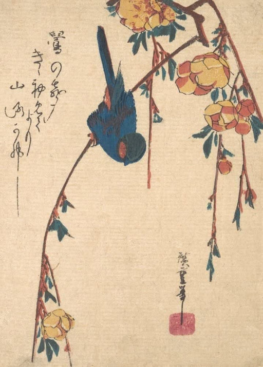 RPW Roystone Print Works Hiroshige 'Weeping Cherry and Bluebird', Japan, 19th Century, Reproduction gloss A4 & A3 Vintage Classic Ukiyo-e Art Poster wall art poster – printed in Yorkshire