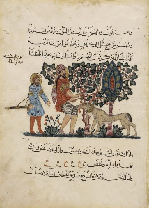 Vintage Anatomy 'Arabic Translation of 'The Dioscorides De Materia Medica', Physician Preparing a Man's Dog Bite', Iraq, 13th Century, Reproduction Vintage 250gsm A4 & A3 Classic Anatomy Poster wall art poster – printed in Yorkshire