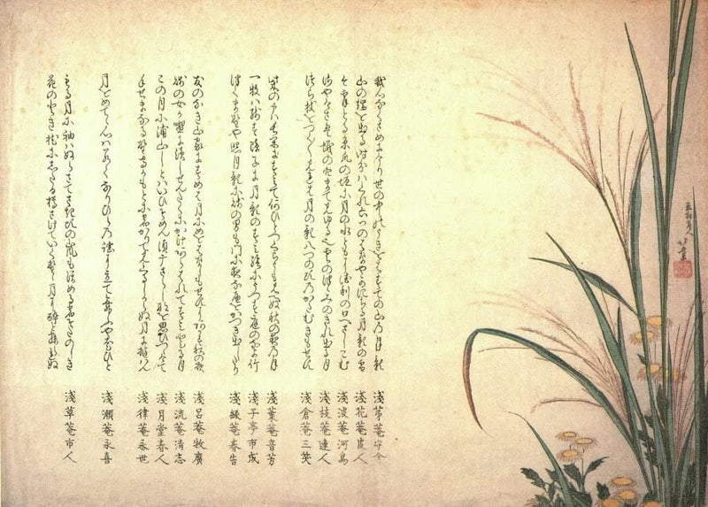 RPW Roystone Print Works Hokusai 'Asters and Susuki Grass', Japan, 18-19th Century, Reproduction gloss A4 & A3 Ukiyo-e Classic Art Poster wall art poster – printed in Yorkshire