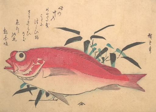 RPW Roystone Print Works Hiroshige 'Medetai Fish and Sasaki Bamboo', Japan, 19th Century, Reproduction gloss A4 & A3 Vintage Classic Ukiyo-e Art Poster wall art poster – printed in Yorkshire