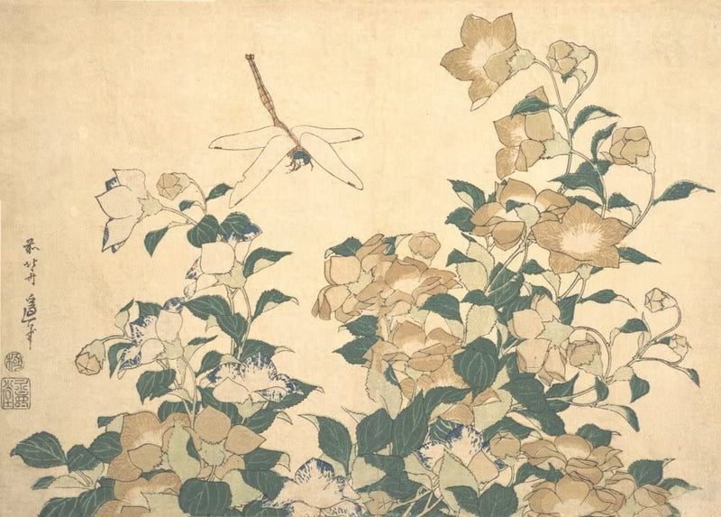 RPW Roystone Print Works Hokusai 'Dragonfly and Bellflower', Japan, 18-19th Century, Reproduction gloss A4 & A3 Ukiyo-e Classic Art Poster wall art poster – printed in Yorkshire