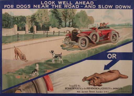 RPW Roystone Print Works Vintage Pets & Veterinary 'Look Well Ahead for Dogs Near The Road', U.S.A, 1930, Reproduction 250gsm A4 & A3 Vintage Poster wall art poster – printed in Yorkshire