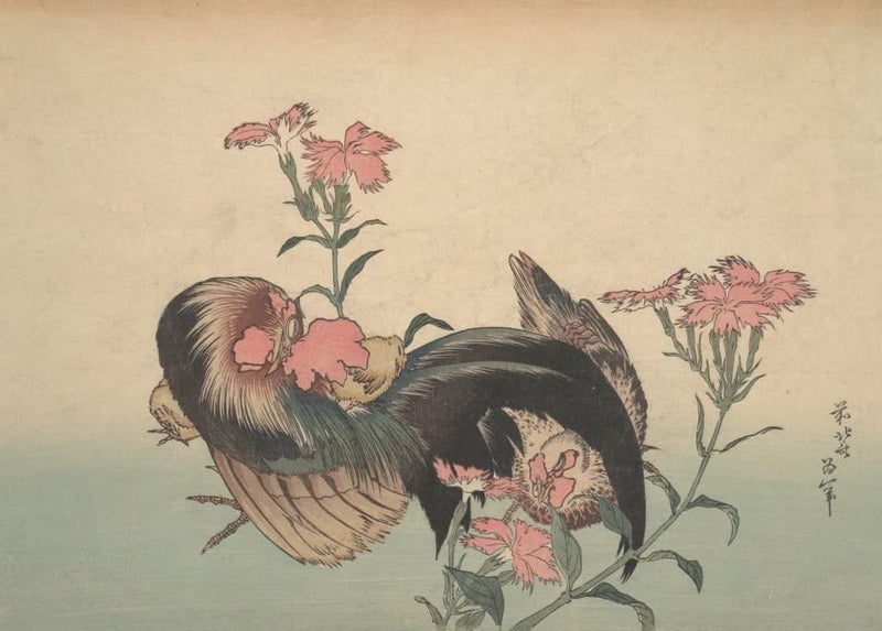 RPW Roystone Print Works Hokusai 'Cock, Hen, and Nadeshiko', Japan, 18-19th Century, Reproduction gloss A4 & A3 Ukiyo-e Classic Art Poster wall art poster – printed in Yorkshire