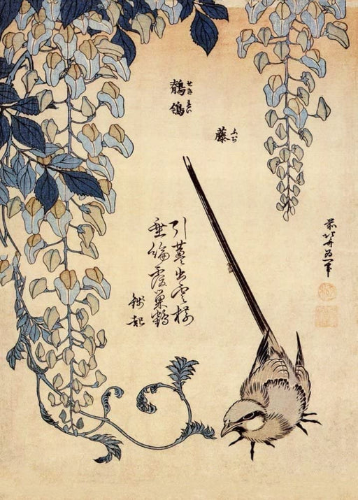 RPW Roystone Print Works Hokusai 'Wagtail and Wisteria', Japan, 18-19th Century, Reproduction gloss A4 & A3 Ukiyo-e Classic Art Poster wall art poster – printed in Yorkshire