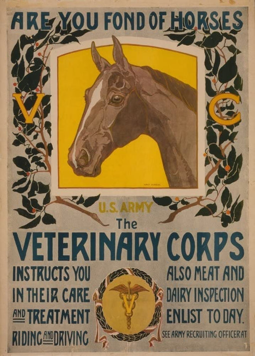 RPW Roystone Print Works Vintage Pets & Veterinary 'Are You Fond of Horses? The U.S Army Veterinary Corps', U.S WW1 1939-45 Recruitment, Reproduction 250gsm A4 & A3 Vintage Poster wall art poster – printed in Yorkshire