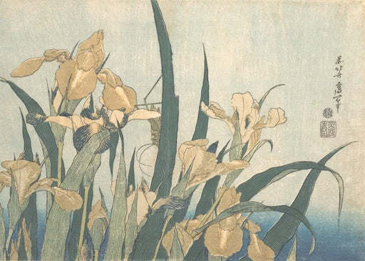 Hokusai 'Grasshopper and Iris', Japan, 18-19th Century, Reproduction gloss A4 & A3 Ukiyo-e Classic Art Poster wall art poster – printed in Yorkshire