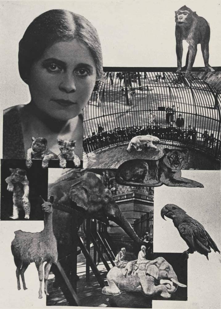 Alexander Rodchenko 'Zoo', Russia, 1923, Reproduction 250gsm Vintage Russian Constructivism Poster Print wall art poster – printed in Yorkshire