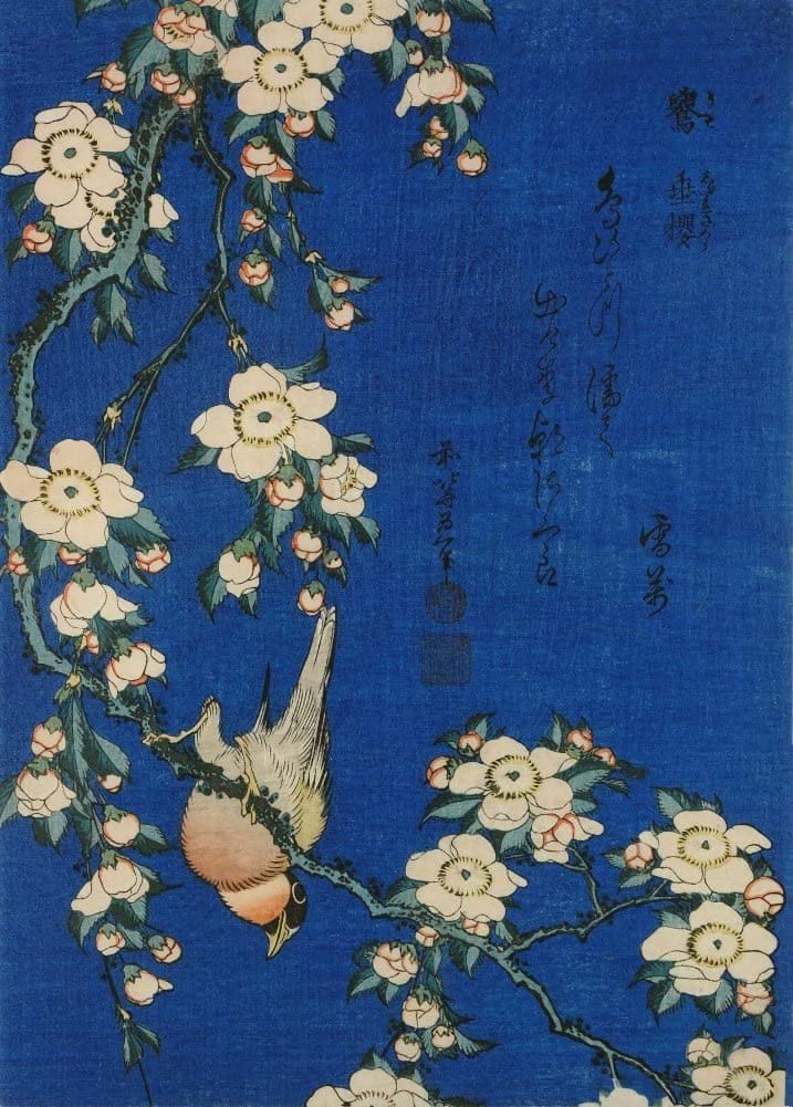 RPW Roystone Print Works Hokusai 'Weeping Cherry and Bullfinch', Japan, 18-19th Century, Reproduction gloss A4 & A3 Ukiyo-e Classic Art Poster wall art poster – printed in Yorkshire