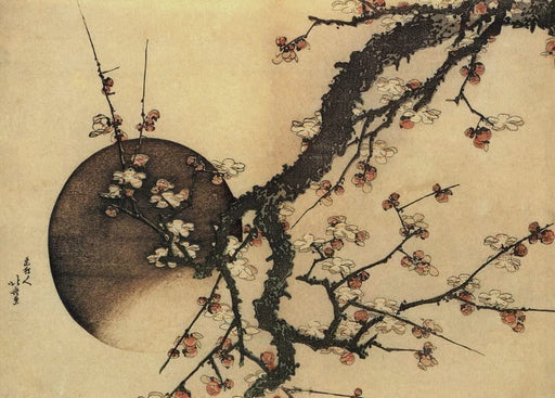 RPW Roystone Print Works Hokusai 'Plum Blossom and The Moon', Japan, 18-19th Century, Reproduction gloss A4 & A3 Ukiyo-e Classic Art Poster wall art poster – printed in Yorkshire