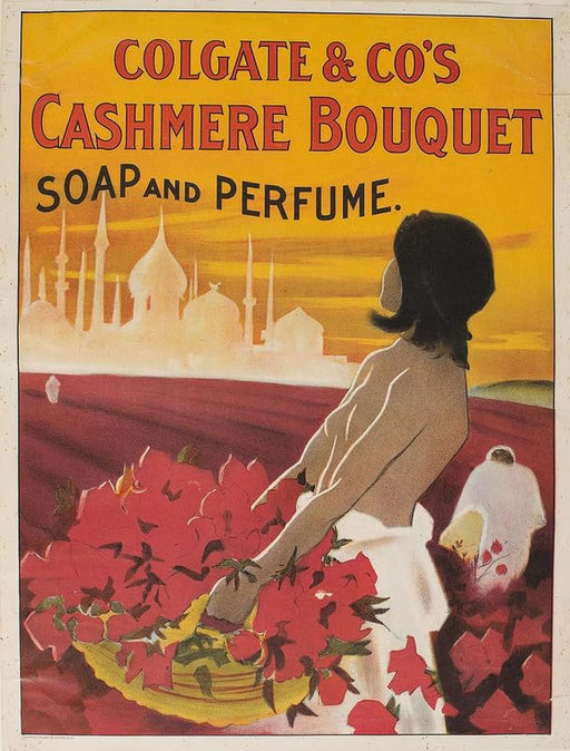 Colgate & Co's Cashmere Bouquet Soap and Perfume 1897 Photo Picture Print Poster wall art poster – printed in Yorkshire