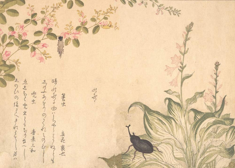 RPW Roystone Print Works Kitagawa Utamaro 'Bagworm and Horned Scarab Beetle', Japan, 1788, Reproduction 250gsm Gloss A4 & A3 Vintage Classic Ukiyo-e Art Poster wall art poster – printed in Yorkshire