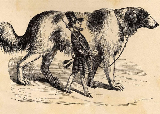 RPW Roystone Print Works J.J Grandville 'Taking The Dog for a Walk', from 'Another World', France, 1844, Reproduction 250gsm A4 & A3 Vintage Fantasy Surrealism Art Poster wall art poster – printed in Yorkshire