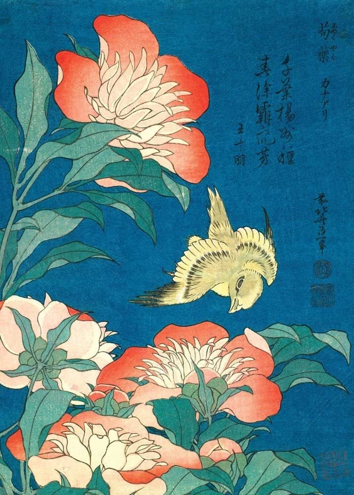 RPW Roystone Print Works Hokusai 'Peonies and Canary', Japan 18-19th Century, Reproduction gloss A4 & A3 Ukiyo-e Classic Art Poster wall art poster – printed in Yorkshire