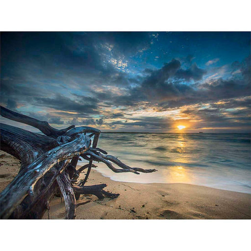 Driftwood Beach Sunset Ocean Art Print Poster Wall DŽcor A4 and A3 wall art poster – printed in Yorkshire
