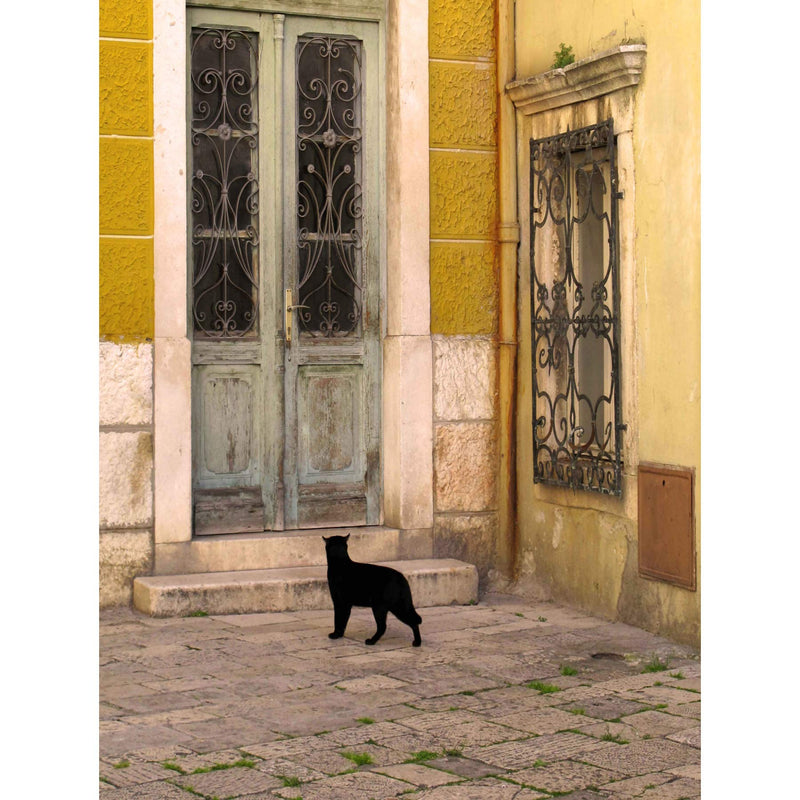 PHOTOGRAPHY BLACK CAT CONTRAST YELLOW BRICK OLD DOOR ART A4 / A3 POSTER PRINT wall art poster – printed in Yorkshire