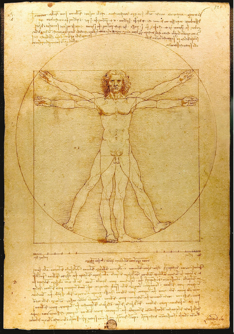 Da Vinci Vitruvian Man Vintage Art Poster Print A4 and A3 wall art poster – printed in Yorkshire
