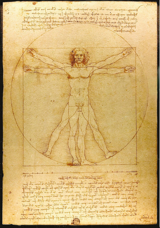 Da Vinci Vitruvian Man Vintage Art Poster Print A4 and A3 wall art poster – printed in Yorkshire