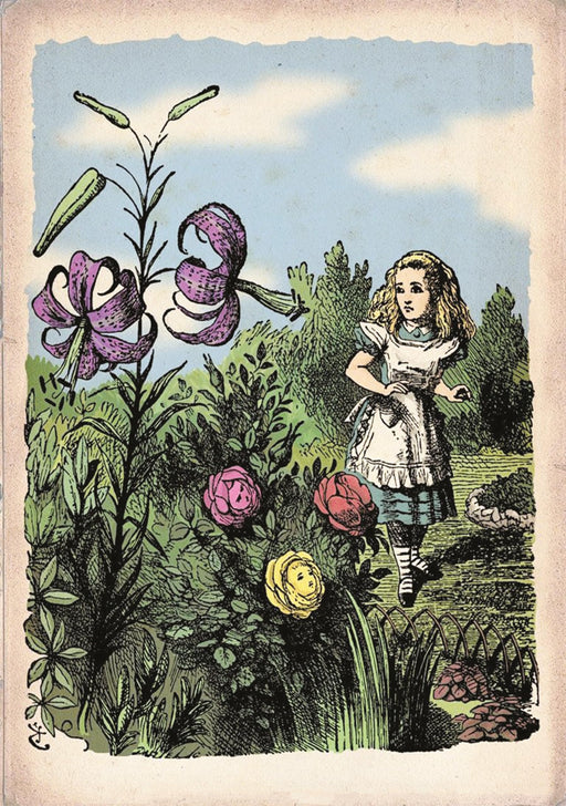 Alice in Wonderland Flower Garden Vintage Art Print Poster wall art poster – printed in Yorkshire