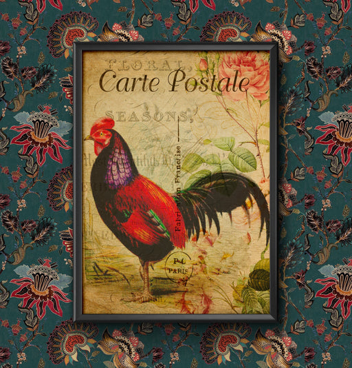 Vintage French Rooster Carte Postale Wall Art Poster Various Sizes Sign print Framed or Unframed wall art poster – printed in Yorkshire
