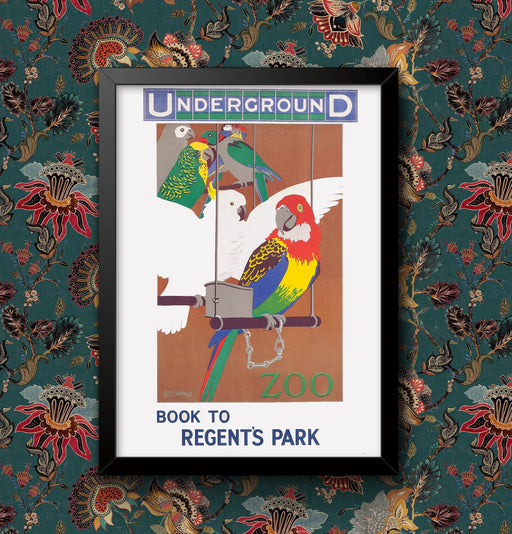 Vintage Book to Regents Park Zoo Underground London Parrots Wall Art Travel Railway Poster Home Decor Sign print Framed Unframed wall art poster – printed in Yorkshire