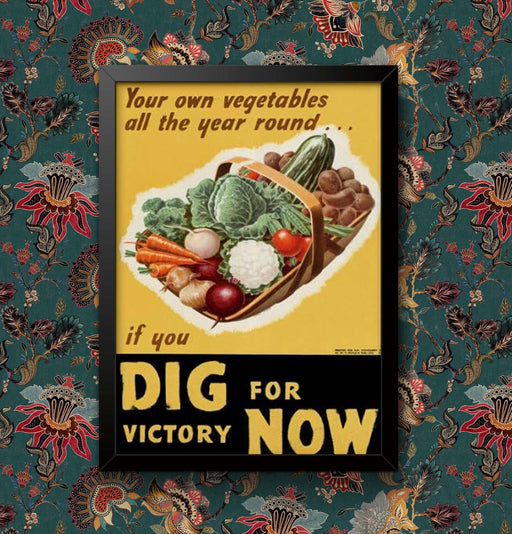 Vintage World War WW2 advertisement Dig for Victory Now your own Vegetables all year round Wall Art Poster Print Framed or Unframed wall art poster – printed in Yorkshire